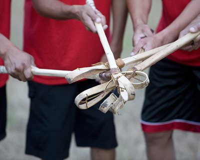 Stickball sticks